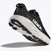 Gaviota 6